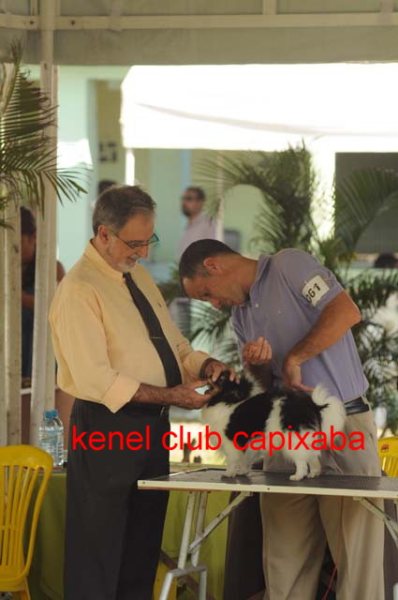 Clique sobre a foto para fechar